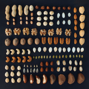 nuts-nuts