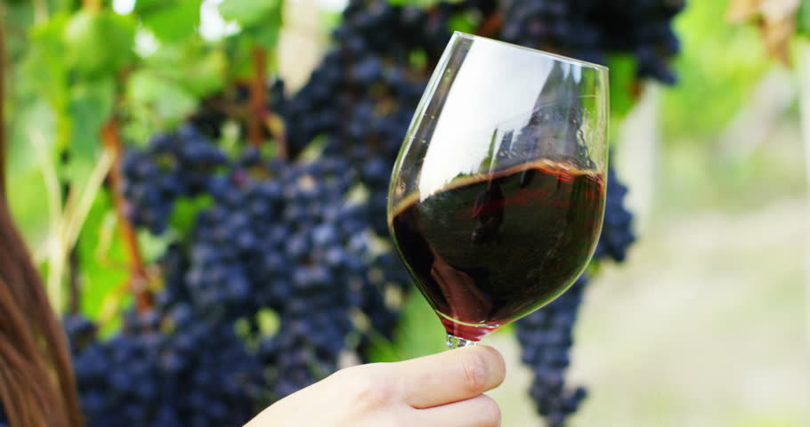A glass of organic red wine