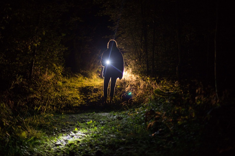 picture of person holding led flashlight during nighttime in the woods