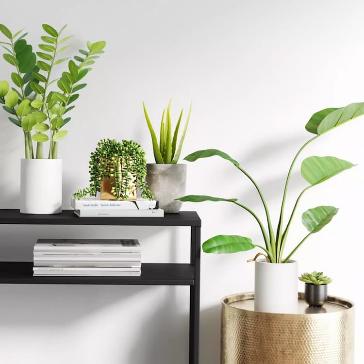 Reasons to Get an Artificial Plant