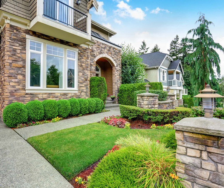 house with greenery curb appeal 